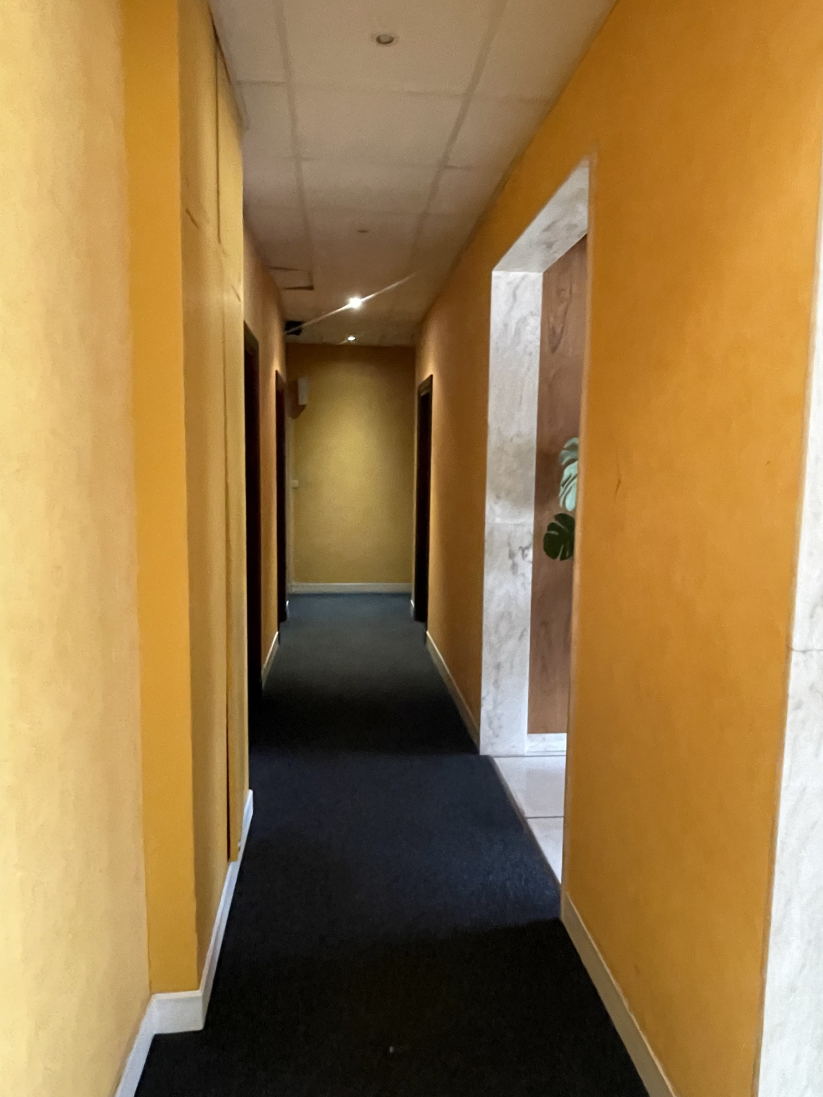 Image_5, Bureaux, Saint-Maur-des-Fossés, ref :L10000975